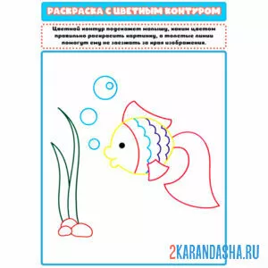 Раскраска с цветным контуром рыбка