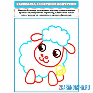 Раскраска с цветным контуром барашек