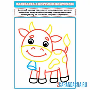 Раскраска с цветным контуром бычок