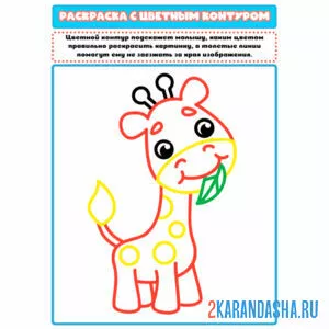 Раскраска с цветным контуром жираф