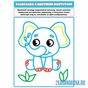 Раскраска с цветным контуром слоник