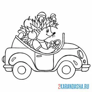Раскраска ежик на машине