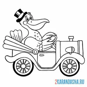 Раскраска пеликан на машине