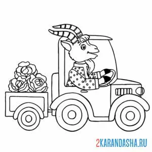 Раскраска козлик с капустой