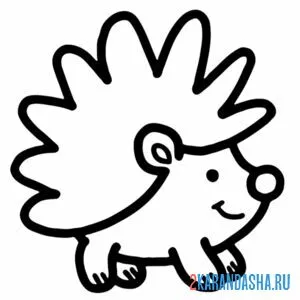 Раскраска маленький ежик