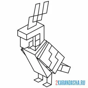 Раскраска попугай