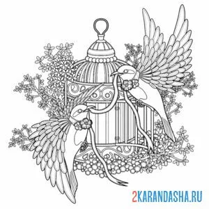 Раскраска птички в клетке арт-терапия