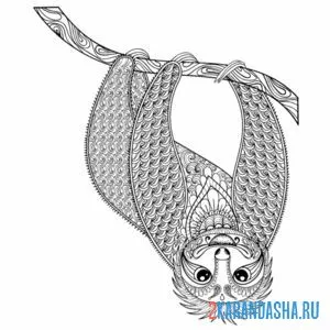 Раскраска ленивец арт-терапия