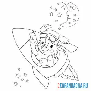 собачка в ракете