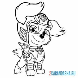 Раскраска смелая скай