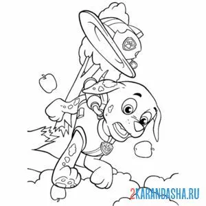 Раскраска маршал летит