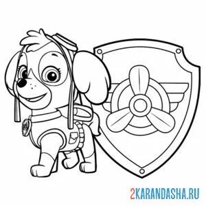 Раскраска скай и значок