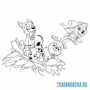Раскраска щенячий патруль и скай