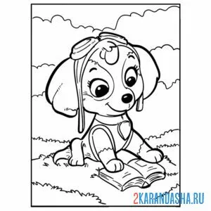 Раскраска скай читает книгу