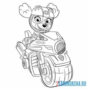 Раскраска скай на мотоцикле