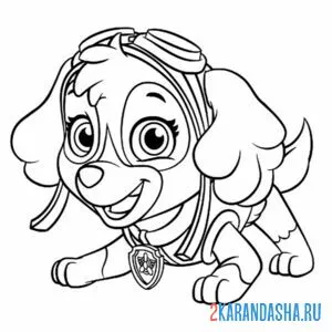 Раскраска скай играет