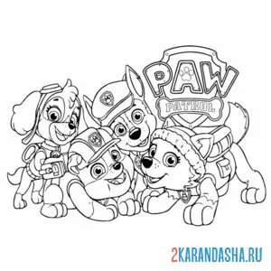 Раскраска скай с комнадой