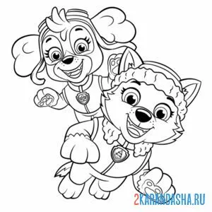 Раскраска скай и эверест