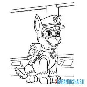 Раскраска гонщик сидит