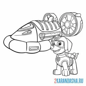 Раскраска зума и ее машина
