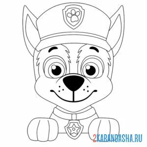 Раскраска гонщик щенячий патруль лапуля