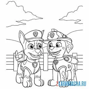 Раскраска маршал и гонщик щенячий патруль