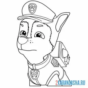 Раскраска гонщик задумался щенячий патруль