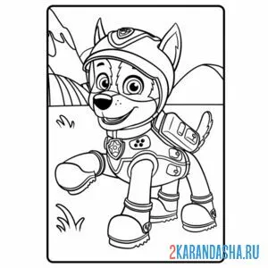 Раскраска гонщик мегащенки новый