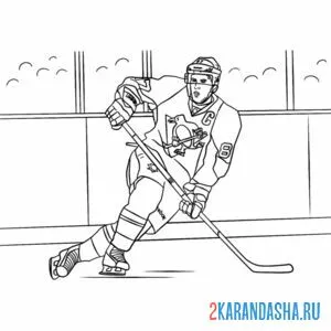 Раскраска профи хоккеист