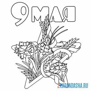Раскраска звезда 9 мая