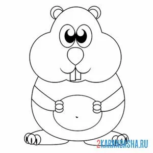 Раскраска пузатый хомяк