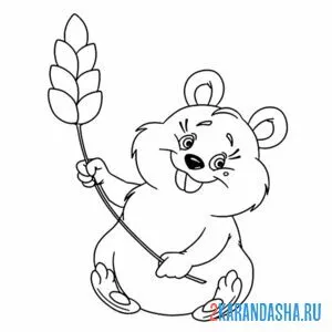 Раскраска хомяк и пшеница