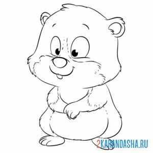 Раскраска милашка хомяк