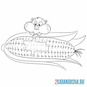 Раскраска хомяк и кукуруза