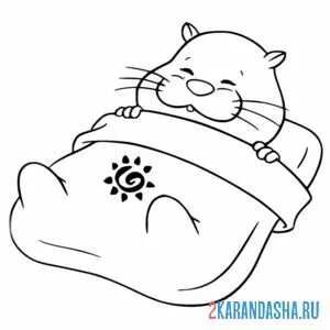 Раскраска хомяк спит