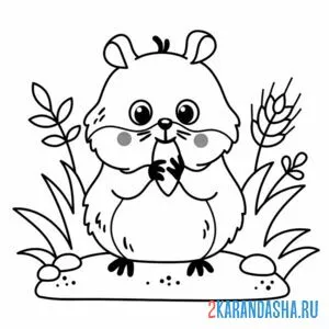 Раскраска хомяк в лесу