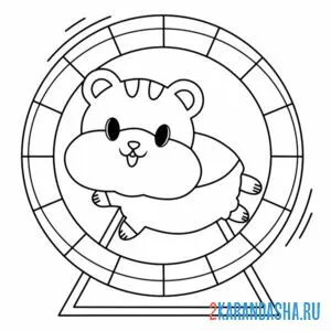 Раскраска хомек бежит в колесе