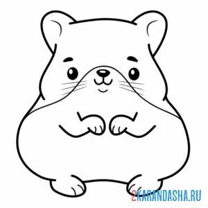 Раскраска хомячок