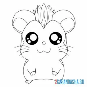 Раскраска аниме хомяк