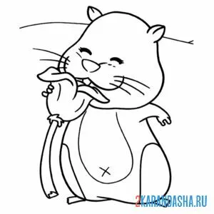 Раскраска хомяк нюхает цветы