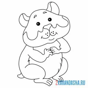 Раскраска хомяк добрый