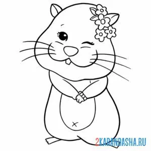 Раскраска хомячок девочка