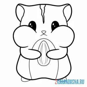 Раскраска хомяк с семечкой