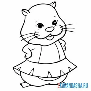 Раскраска хомяк-девочка