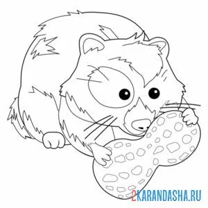 Раскраска хомяк ест арахис