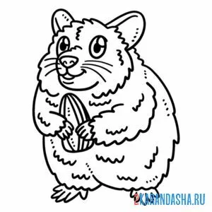 Раскраска хомяк пухляш