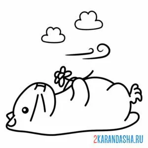 Раскраска хомяк на природе