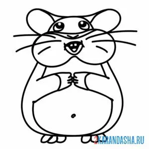 Раскраска хомяк смотрит в небо