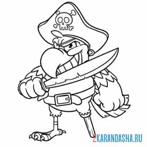 Раскраска попуга-пират