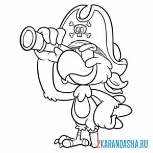 Раскраска пиратский попугвй